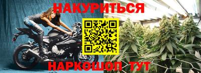ГАЛЛЮЦИНОГЕННЫЕ ГРИБЫ Заволжье