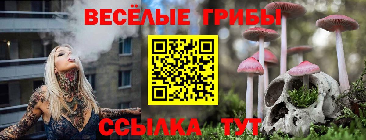 Псилоцибиновые грибы GOLDEN TEACHER Кызыл