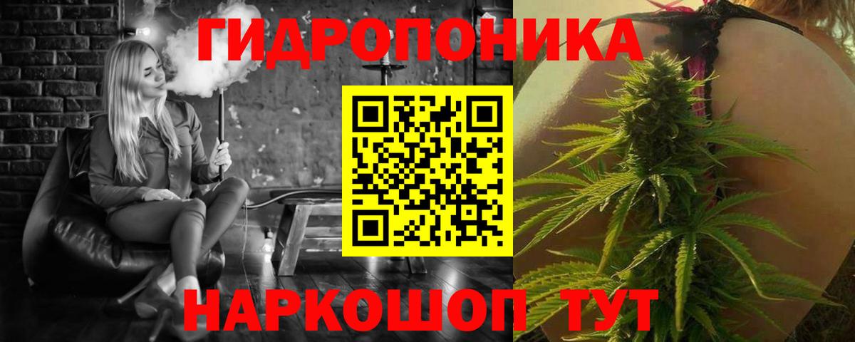 Шишки марихуана тримм  Марихуана тримм  Бошки марихуана план  Вход с VPN  Кызыл 